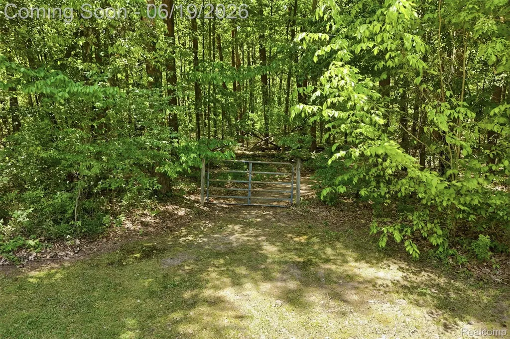 3167 Roods Lake Road Mayfield Township MI 48446