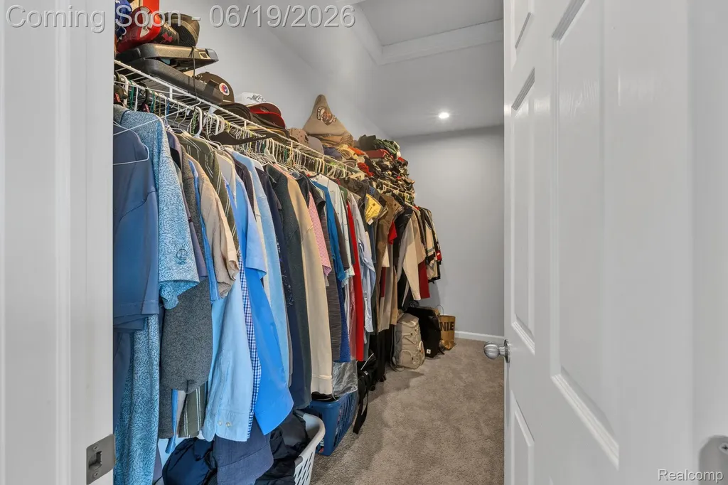 2907 Jordan River Drive Handy Township MI 48836
