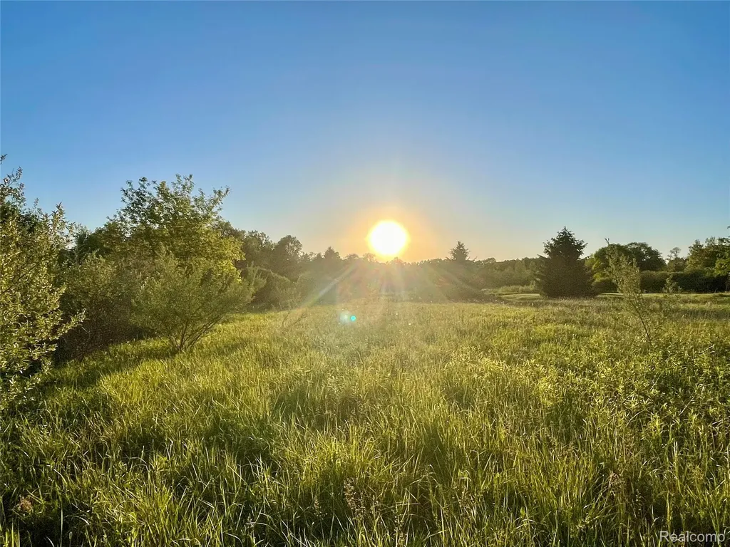 0 Hayden Road Arcadia Township MI 48412