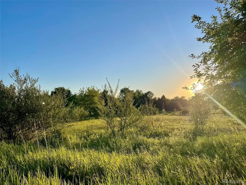 0 Hayden Road Arcadia Township MI 48412