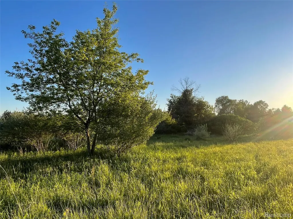 0 Hayden Road Arcadia Township MI 48412