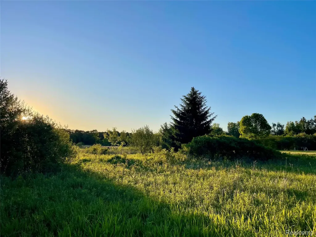 0 Hayden Road Arcadia Township MI 48412