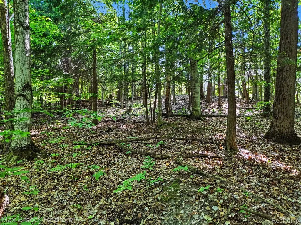 125 Legend Trail Custer Township MI 49615