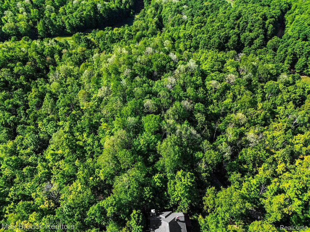 125 Legend Trail Custer Township MI 49615