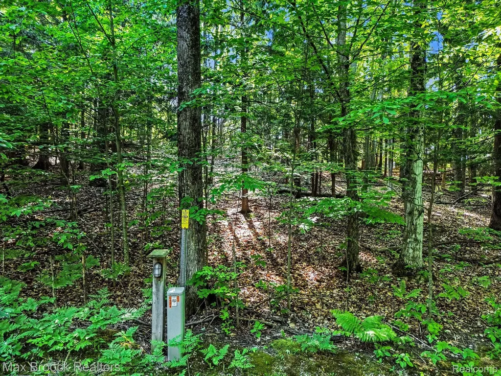 125 Legend Trail Custer Township MI 49615