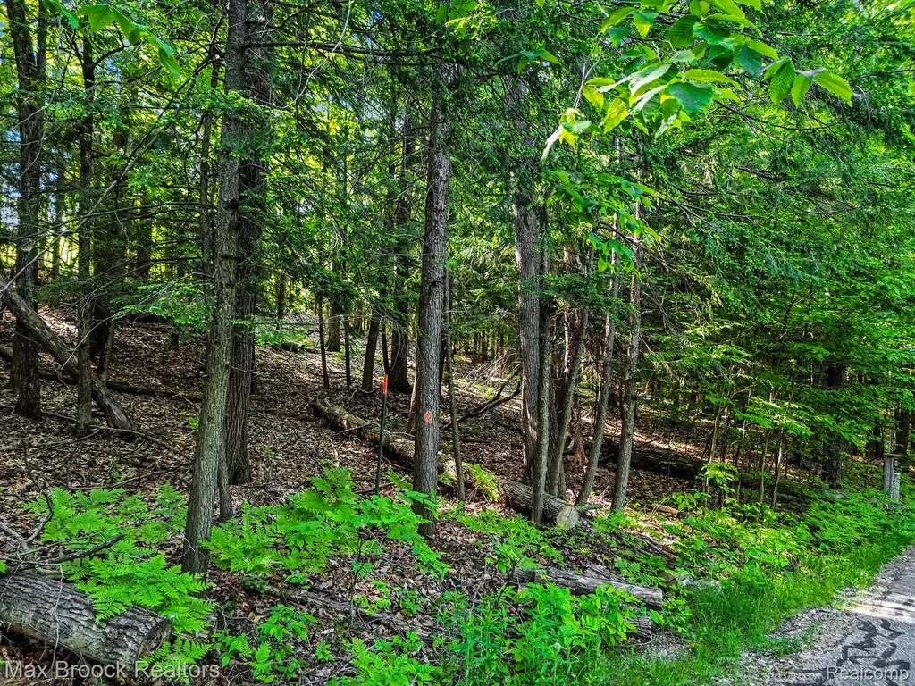 125 Legend Trail Custer Township MI 49615