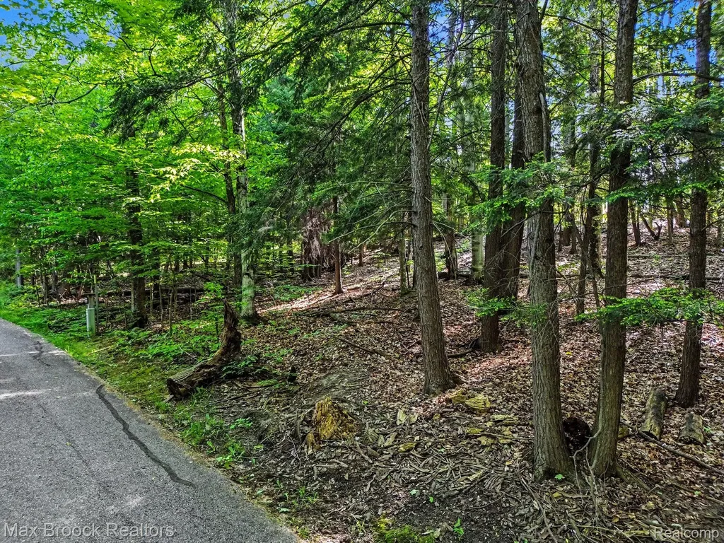125 Legend Trail Custer Township MI 49615