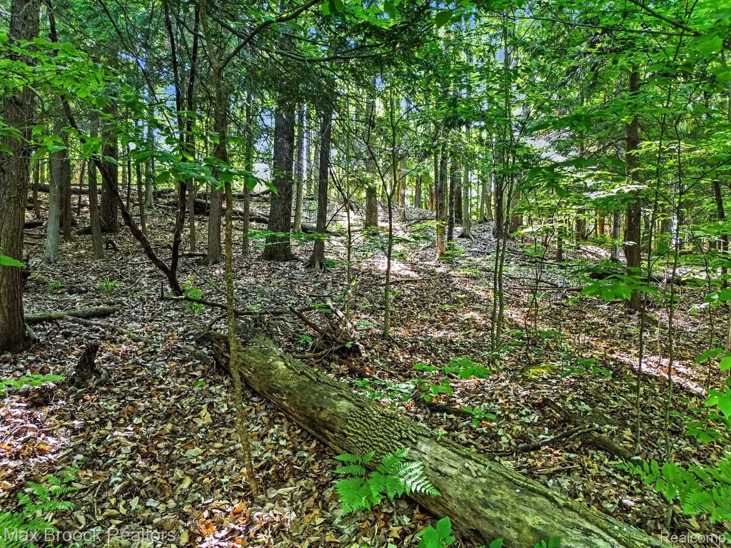 125 Legend Trail Custer Township MI 49615
