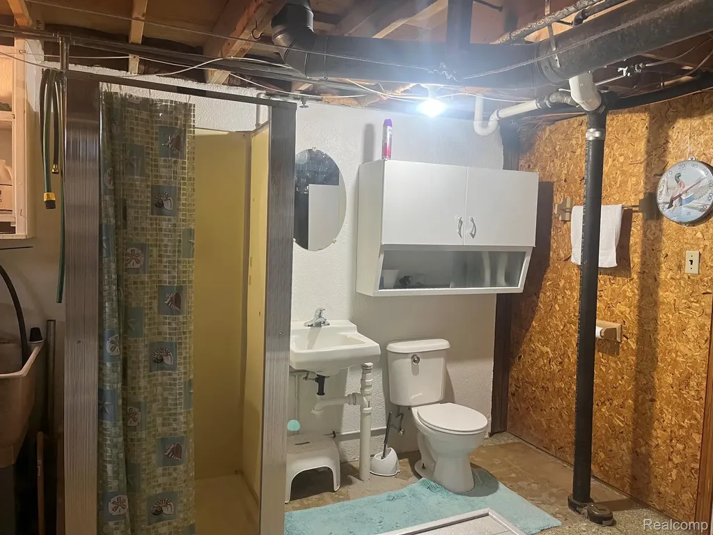 24317 Mount Olive Drive Brownstown Charter Township MI 48134