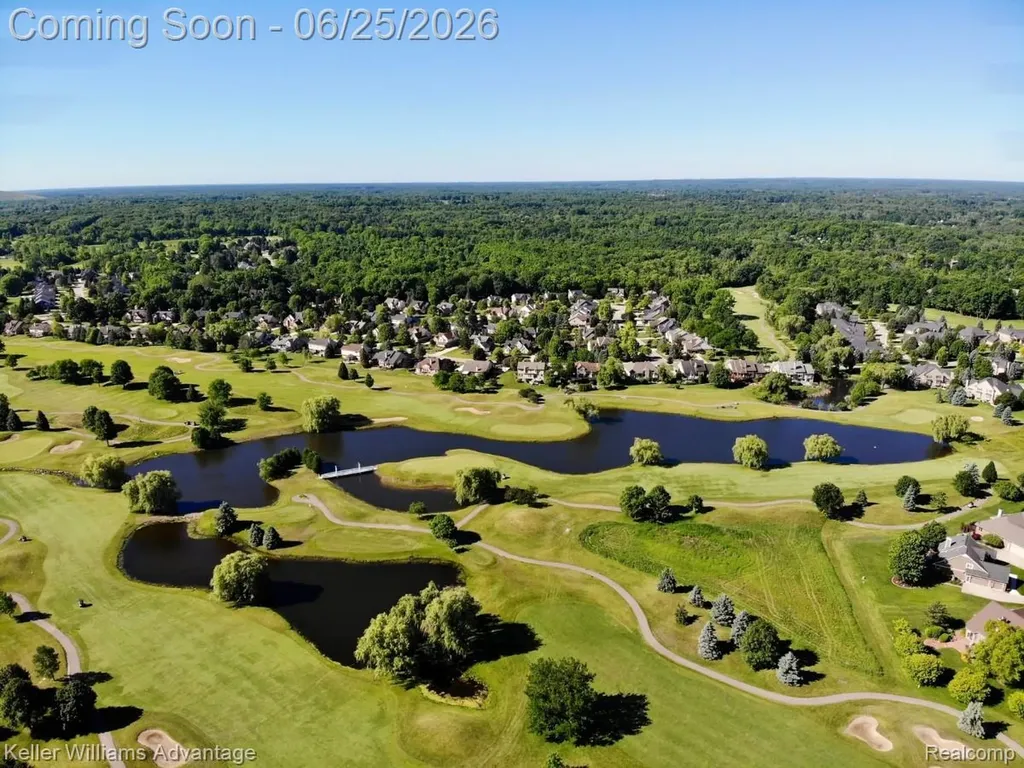 22878 Tree Top Court Lyon Charter Township MI 48178