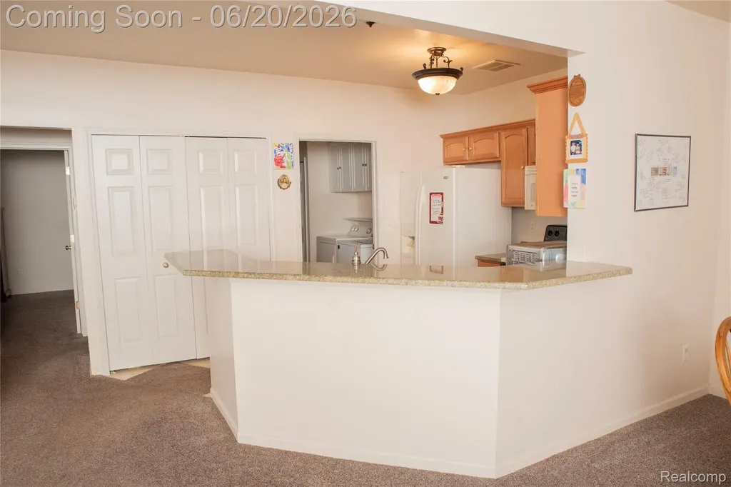 519 Cedar Street Wyandotte City MI 48192