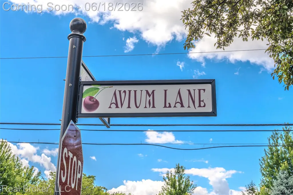 300 Avium Lane Canton Charter Township MI 48187