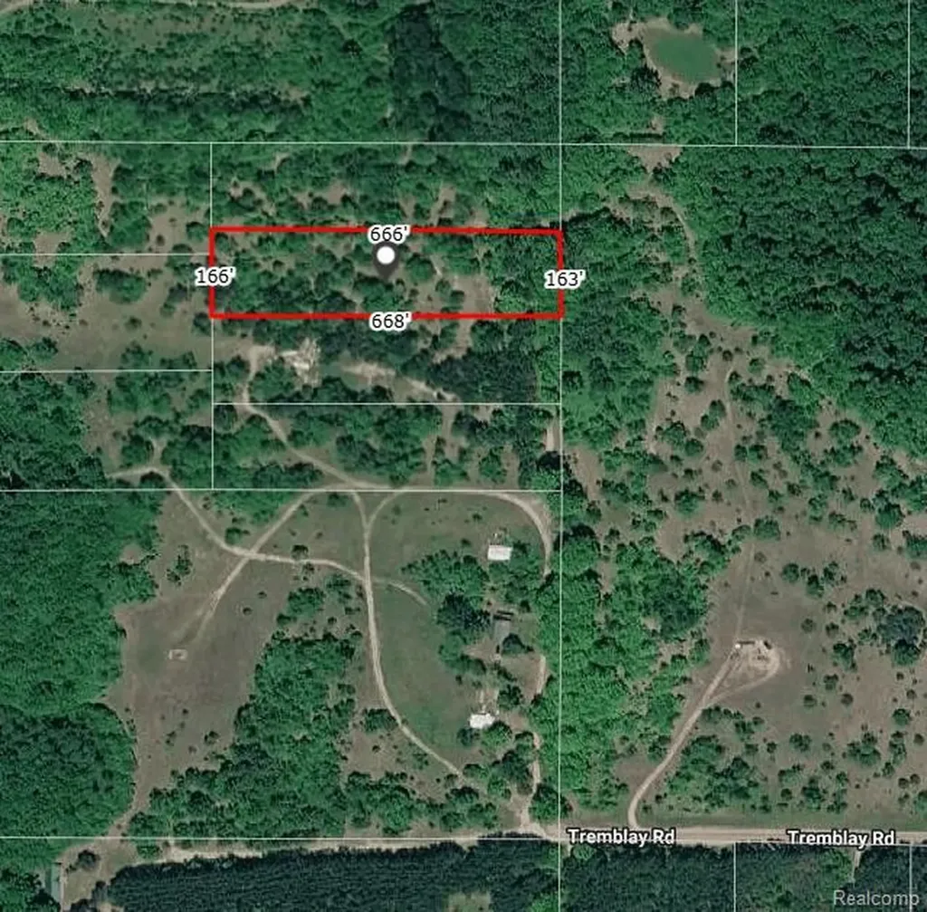 V/l Tremblay Road Custer Township MI 49659