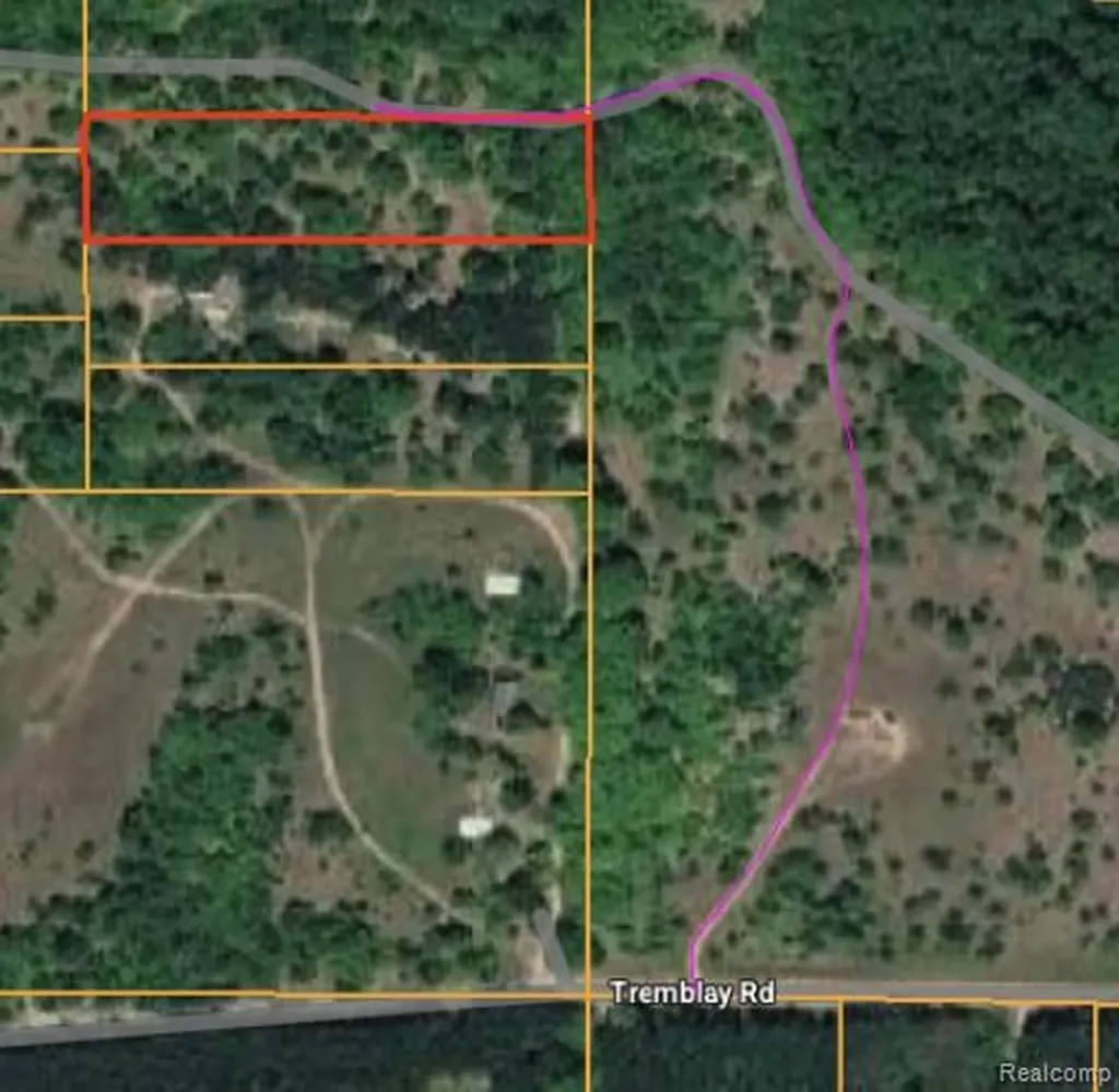 V/l Tremblay Road Custer Township MI 49659