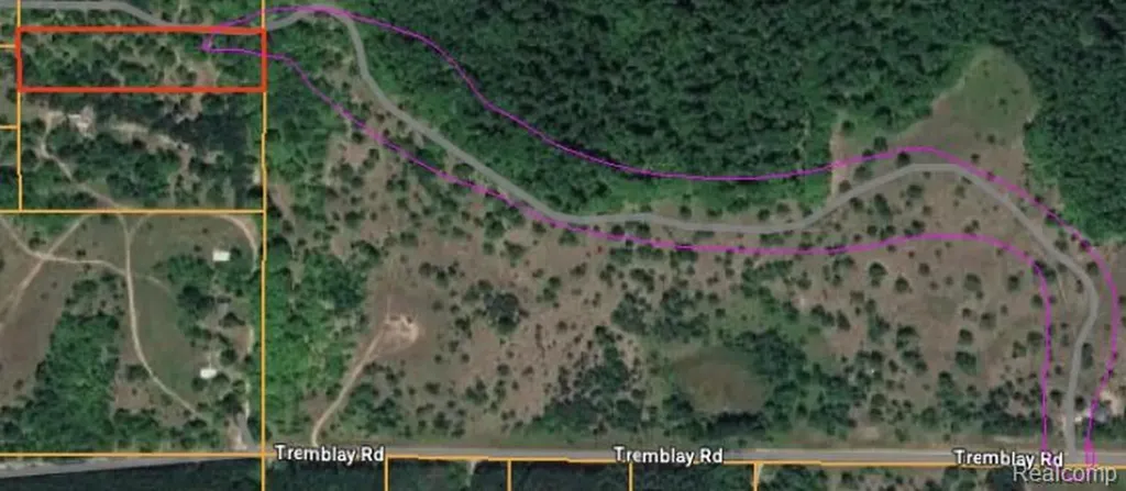 V/l Tremblay Road Custer Township MI 49659