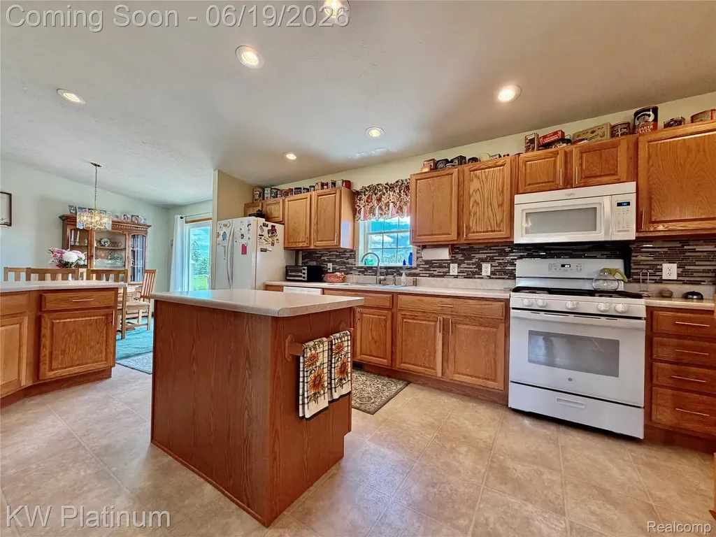 6069 Harris Road Grant Township MI 48032