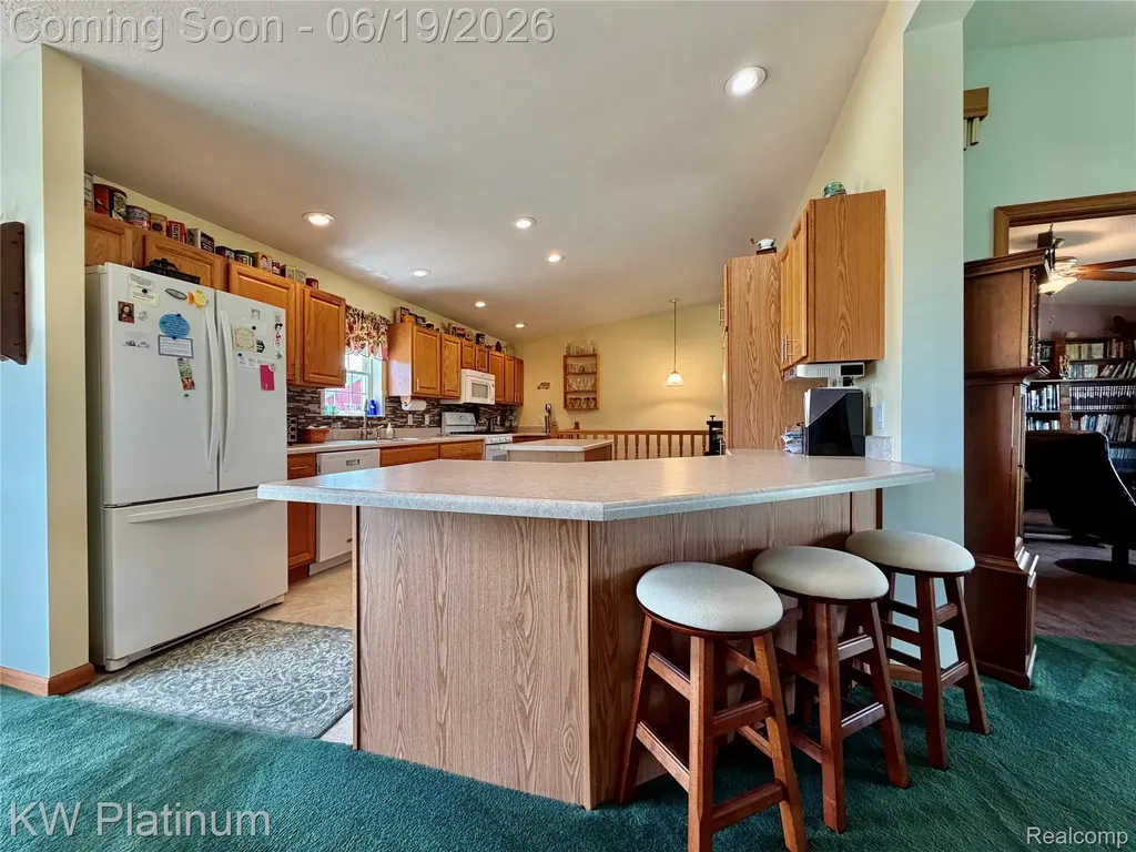 6069 Harris Road Grant Township MI 48032