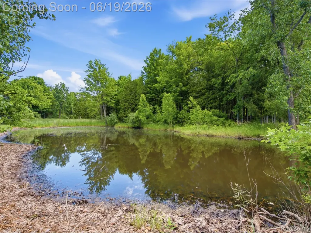 5449 Lum Road Attica Township MI 48412