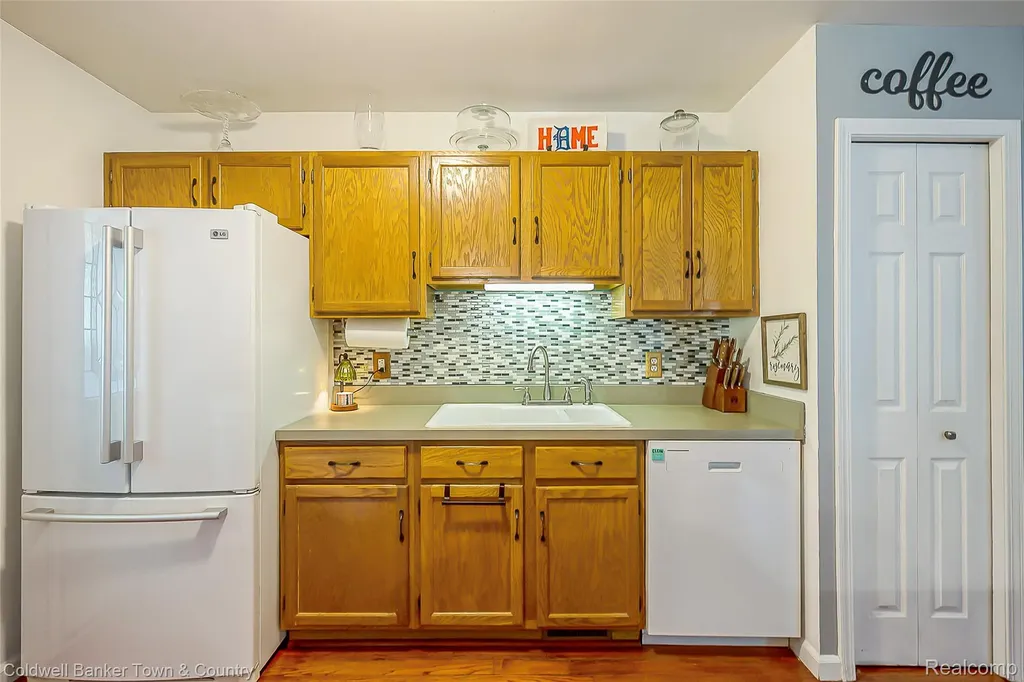 411 Springwell Lane Genoa Township MI 48843