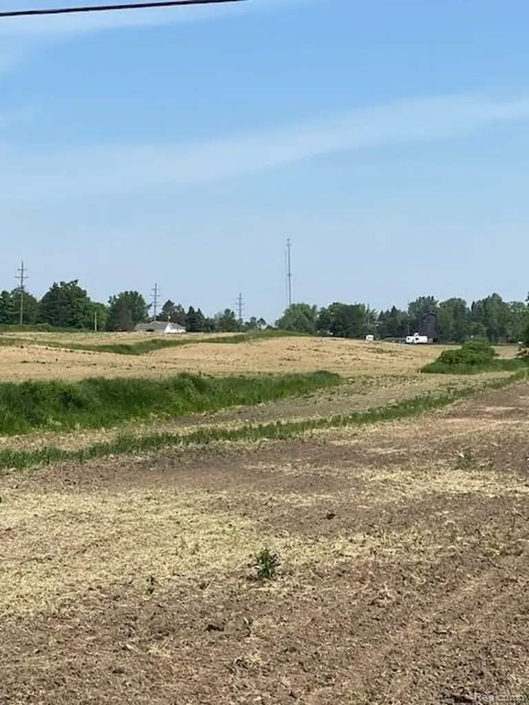 7451 Fostoria Road Watertown Township MI 48744