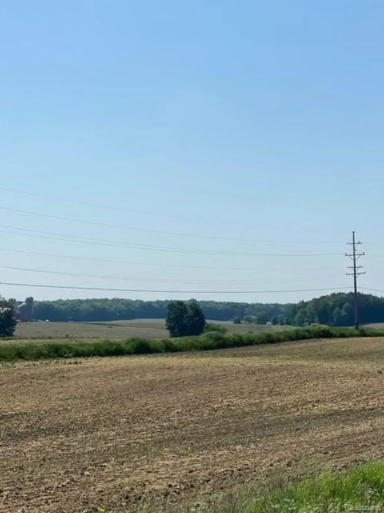 7451 Fostoria Road Watertown Township MI 48744