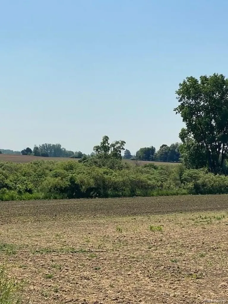 7451 Fostoria Road Watertown Township MI 48744