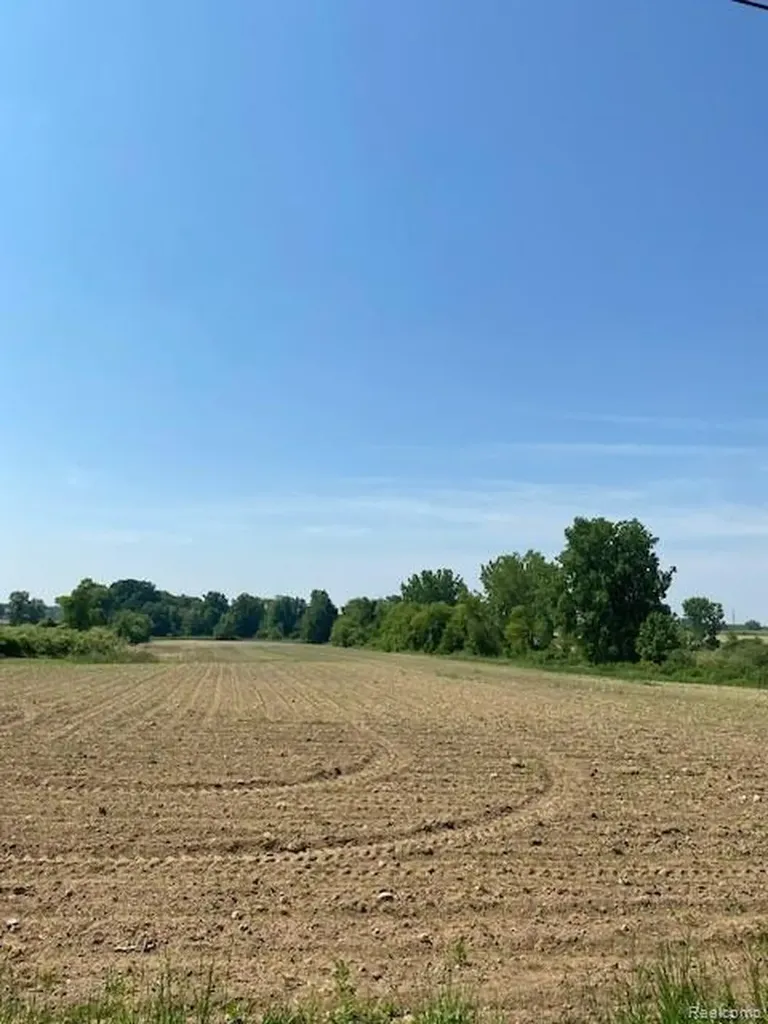 7451 Fostoria Road Watertown Township MI 48744