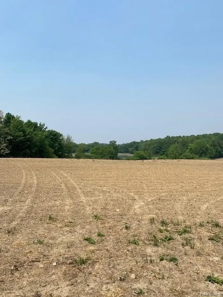 7451 Fostoria Road Watertown Township MI 48744