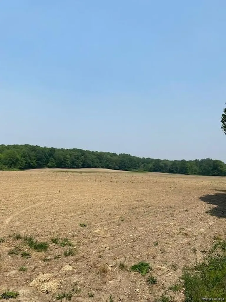 7451 Fostoria Road Watertown Township MI 48744