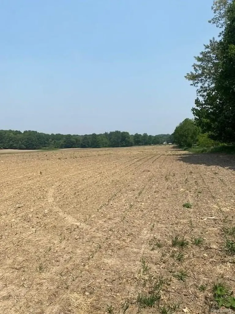 7451 Fostoria Road Watertown Township MI 48744