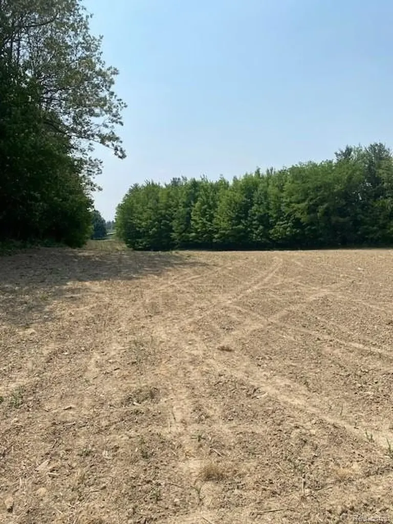 7451 Fostoria Road Watertown Township MI 48744