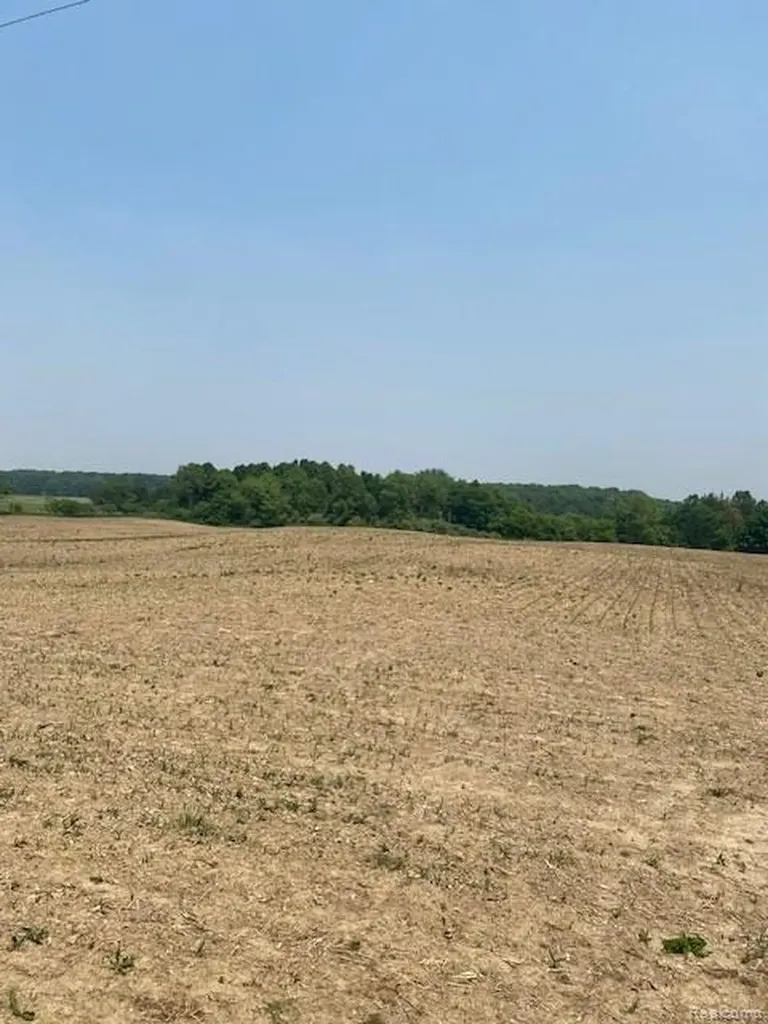 7451 Fostoria Road Watertown Township MI 48744