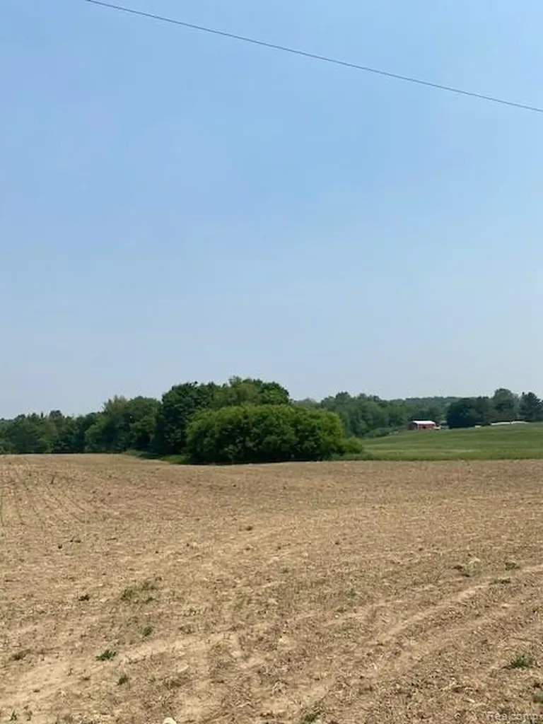 7451 Fostoria Road Watertown Township MI 48744