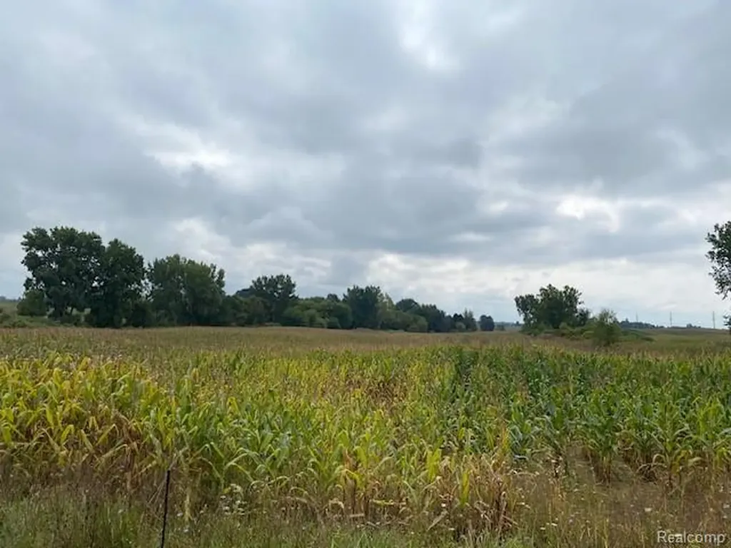 7451 Fostoria Road Watertown Township MI 48744