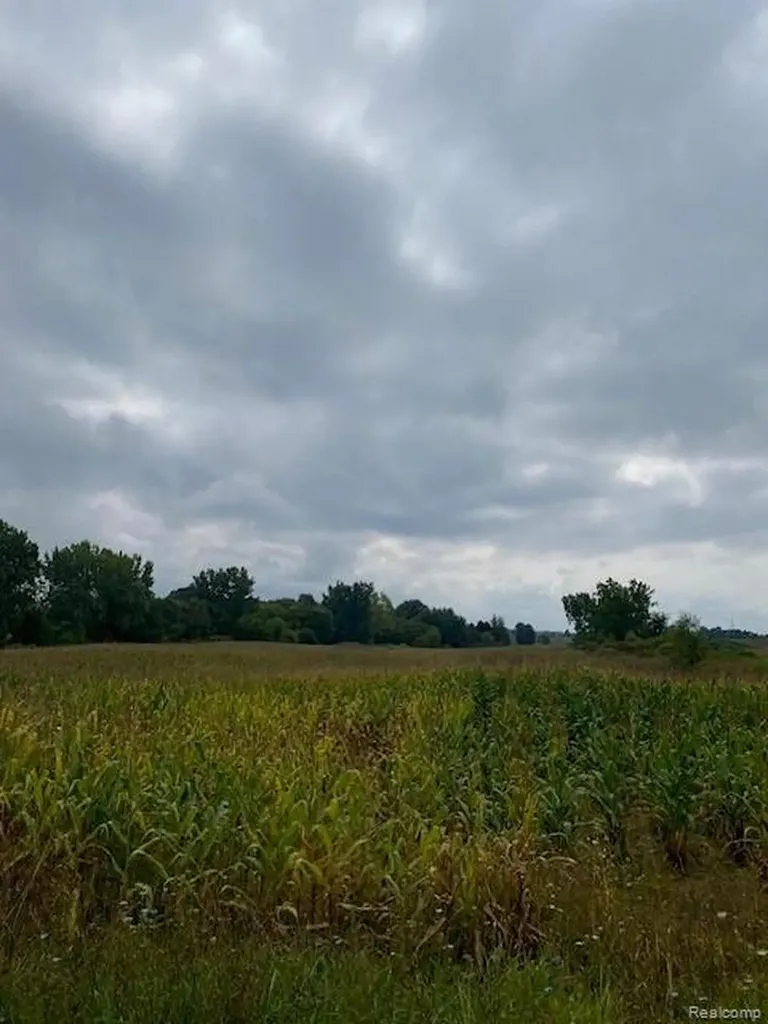 7451 Fostoria Road Watertown Township MI 48744