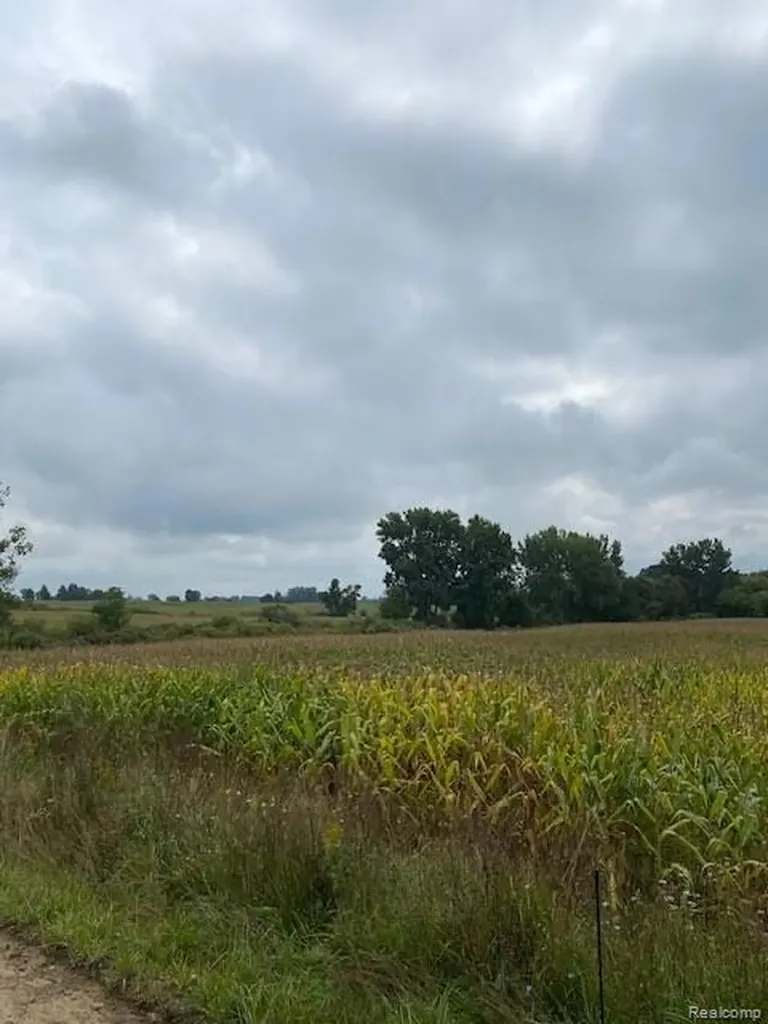 7451 Fostoria Road Watertown Township MI 48744