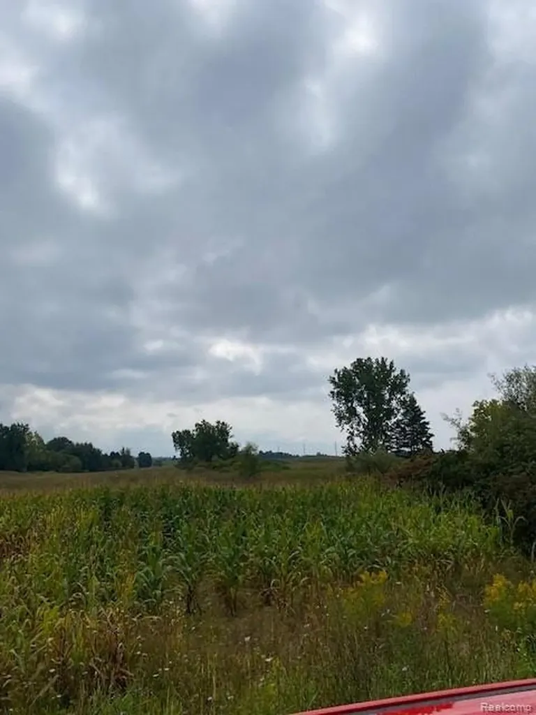 7451 Fostoria Road Watertown Township MI 48744