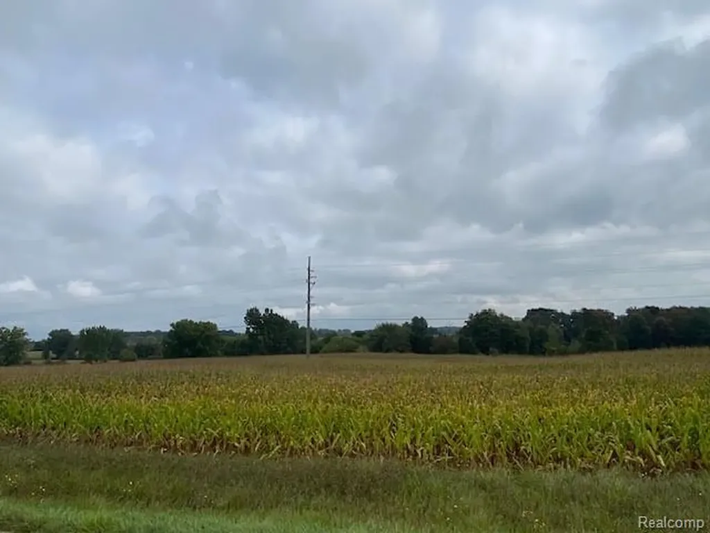7451 Fostoria Road Watertown Township MI 48744