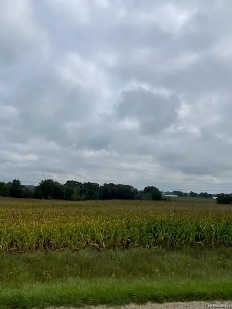 7451 Fostoria Road Watertown Township MI 48744