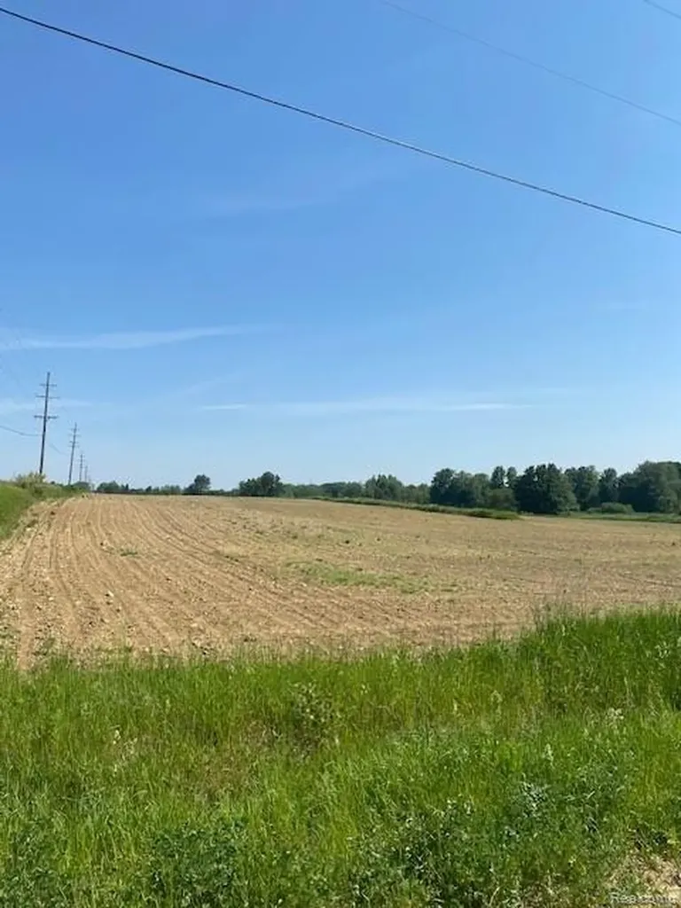 7451 Fostoria Road Watertown Township MI 48744