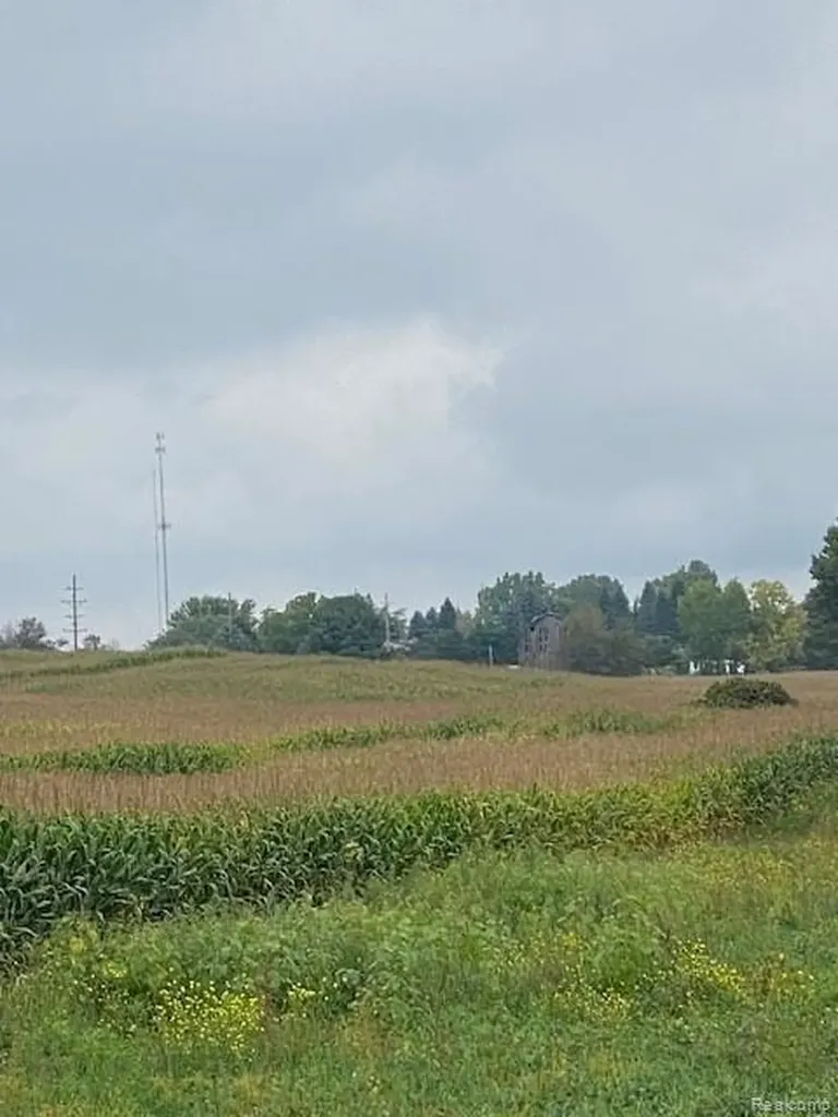 7451 Fostoria Road Watertown Township MI 48744