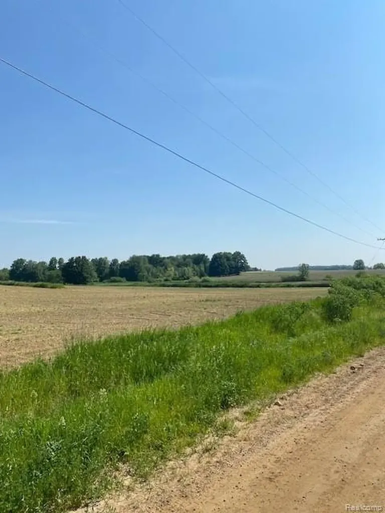 7451 Fostoria Road Watertown Township MI 48744