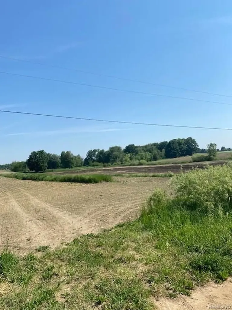7451 Fostoria Road Watertown Township MI 48744