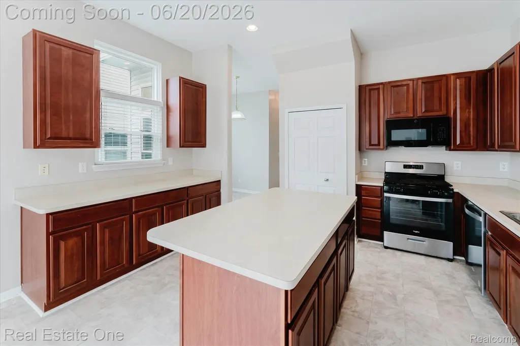1537 Chapleau Drive Scio Township MI 48103