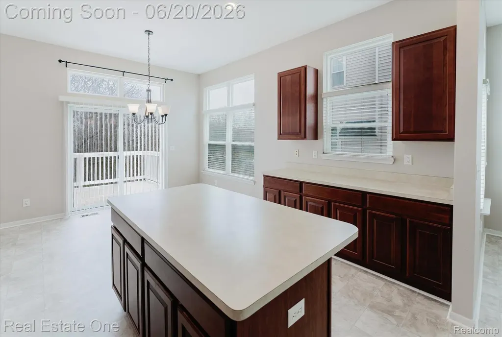1537 Chapleau Drive Scio Township MI 48103