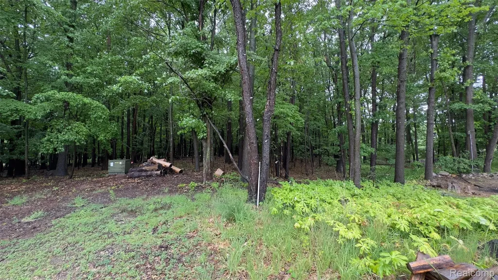 2608 E Sutton Road Metamora Township MI 48455