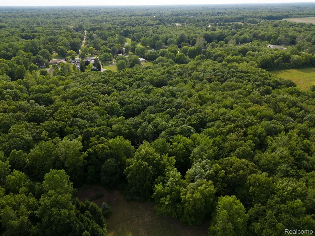 21515 Huron River Drive Huron Charter Township MI 48164
