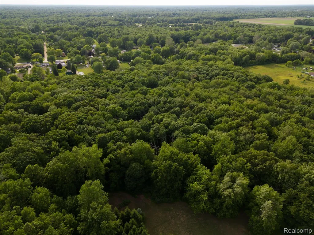 21515 Huron River Drive Huron Charter Township MI 48164