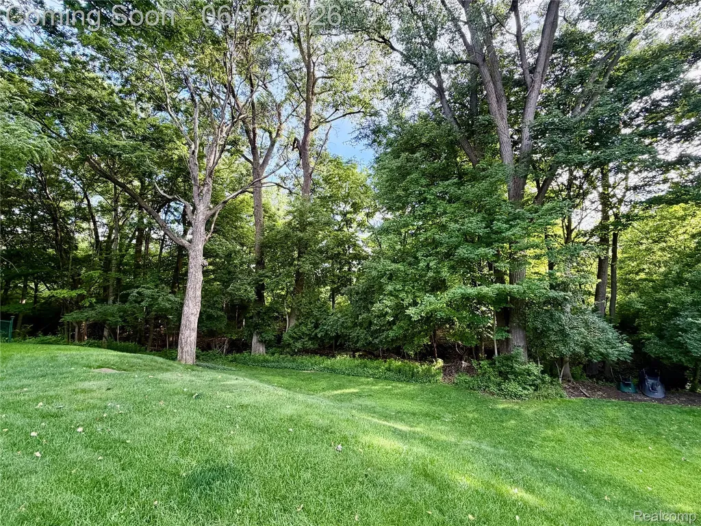 17307 Francavilla Drive Livonia City MI 48152