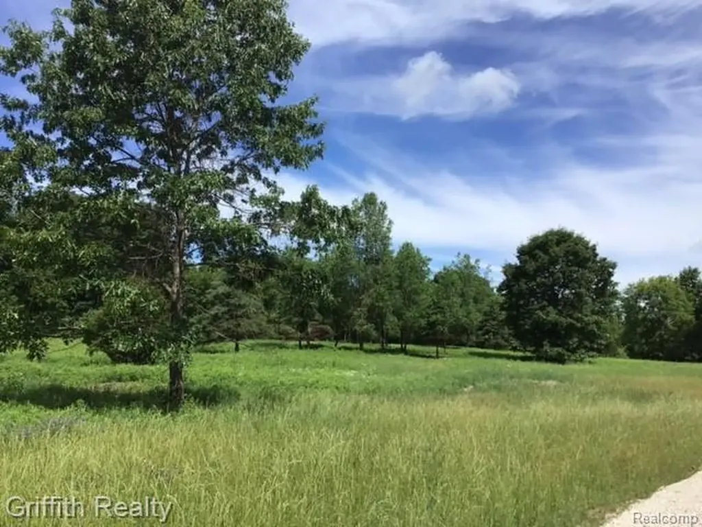 Parcel 1 E Coon Lake Road Genoa Township MI 48843